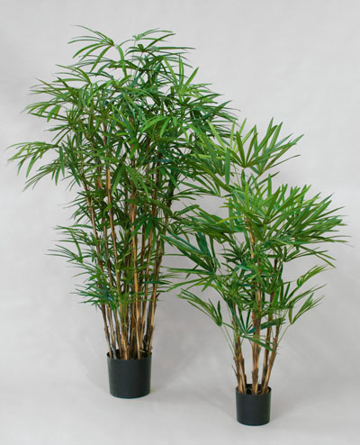71-100 Rhapis 100cm, 71-140 Rhapis 140cm, 71-170 Rhapis 170cm, 71-200 Rhapis 200cm, 71-250 Rhapis 250cm
